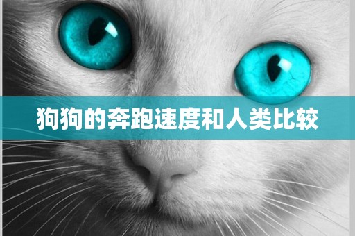 狗狗的奔跑速度和人類比較