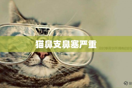 貓鼻支鼻塞嚴重