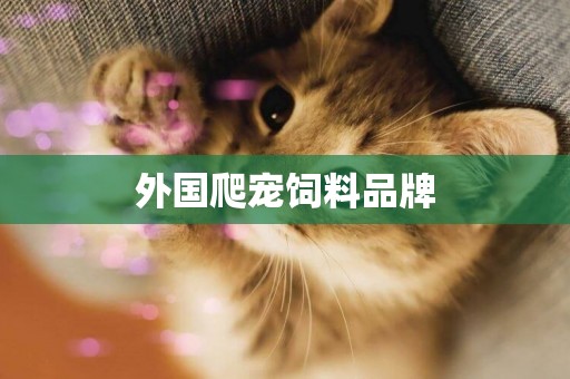 外國爬寵飼料品牌