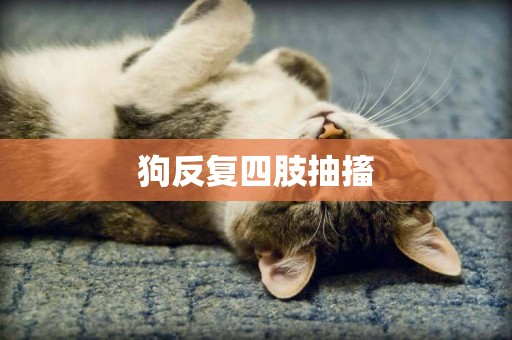 狗反復四肢抽搐
