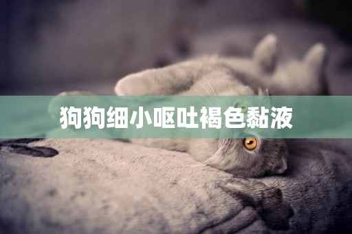 狗狗細小嘔吐褐色黏液