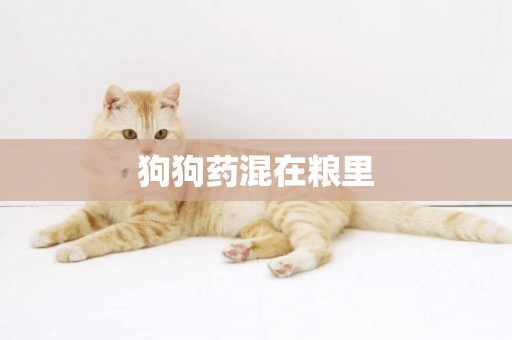 狗狗藥混在糧里