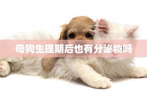 母狗生理期后也有分泌物嗎