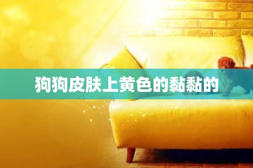 狗狗皮膚上黃色的黏黏的