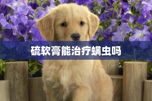 硫軟膏能治療螨蟲嗎