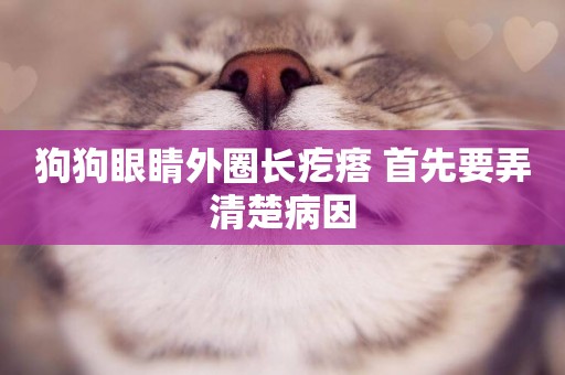 狗狗眼睛外圈長疙瘩 首先要弄清楚病因