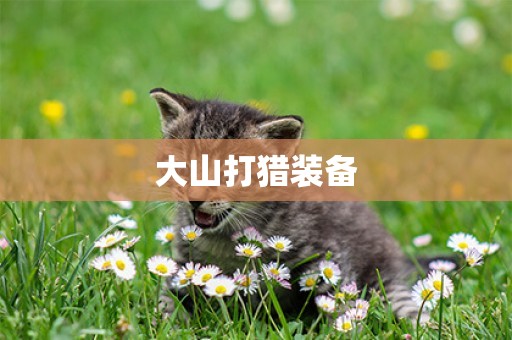 大山打獵裝備