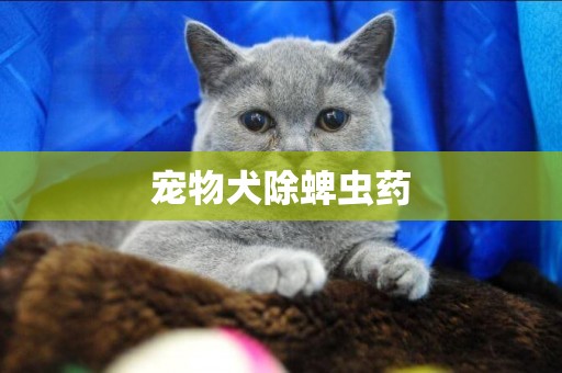 寵物犬除蜱蟲藥