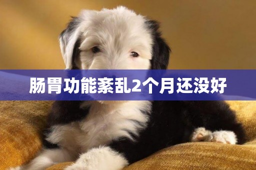 腸胃功能紊亂2個月還沒好