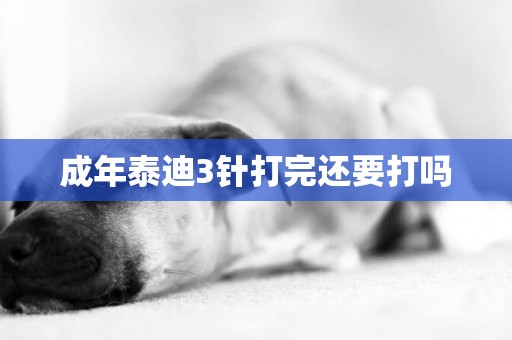 成年泰迪3針打完還要打嗎