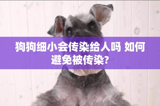 狗狗細小會傳染給人嗎 如何避免被傳染?