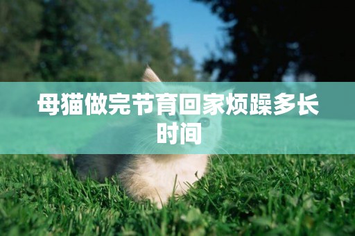 母貓做完節育回家煩躁多長時間