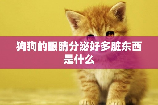 狗狗的眼睛分泌好多臟東西是什么