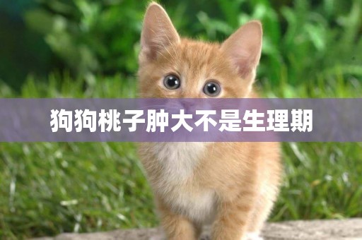 狗狗桃子腫大不是生理期