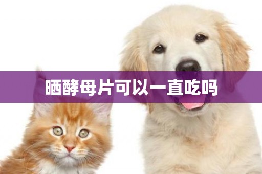 曬酵母片可以一直吃嗎