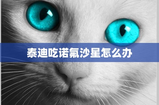 泰迪吃諾氟沙星怎么辦