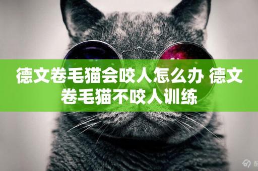 德文卷毛貓會咬人怎么辦 德文卷毛貓不咬人訓練