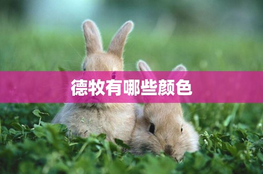 德牧有哪些顏色