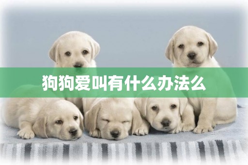 狗狗愛叫有什么辦法么