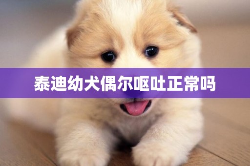 泰迪幼犬偶爾嘔吐正常嗎