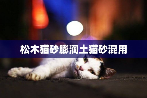 松木貓砂膨潤土貓砂混用