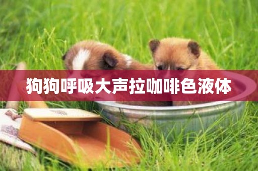 狗狗呼吸大聲拉咖啡色液體