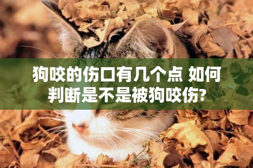 狗咬的傷口有幾個點 如何判斷是不是被狗咬傷?