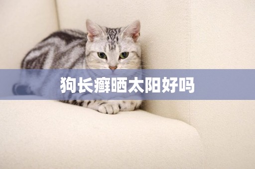 狗長癬曬太陽好嗎