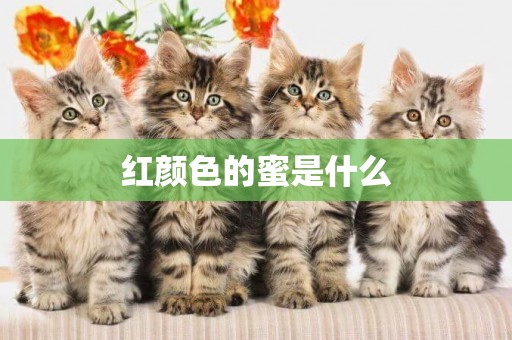 紅顏色的蜜是什么