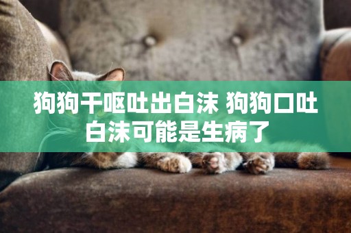 狗狗干嘔吐出白沫 狗狗口吐白沫可能是生病了