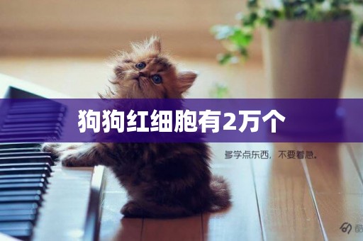 狗狗紅細胞有2萬個