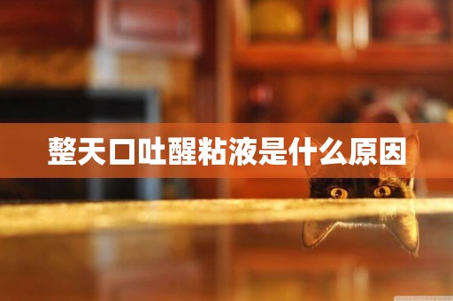 整天口吐醒粘液是什么原因
