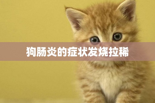 狗腸炎的癥狀發燒拉稀