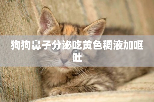 狗狗鼻子分泌吃黃色稠液加嘔吐