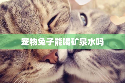 寵物兔子能喝礦泉水嗎