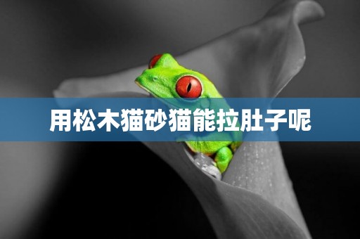 用松木貓砂貓能拉肚子呢