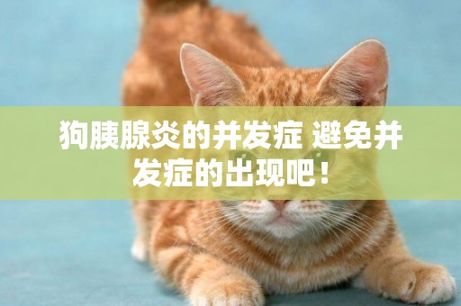 狗胰腺炎的并發癥 避免并發癥的出現吧！
