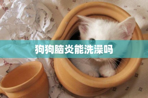 狗狗腦炎能洗澡嗎