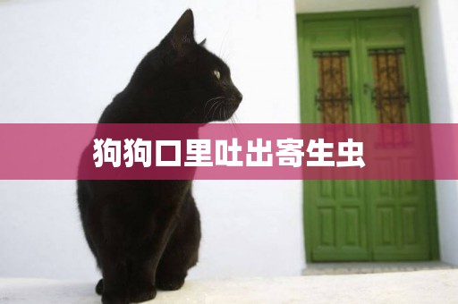 狗狗口里吐出寄生蟲