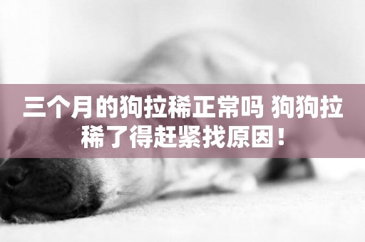 三個月的狗拉稀正常嗎 狗狗拉稀了得趕緊找原因！