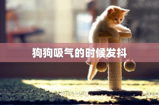狗狗吸氣的時候發抖