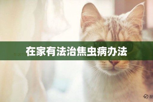 在家有法治焦蟲病辦法