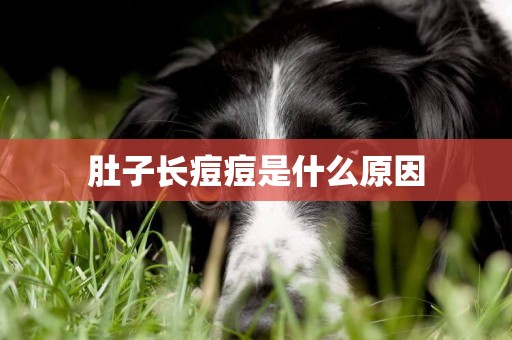 肚子長痘痘是什么原因