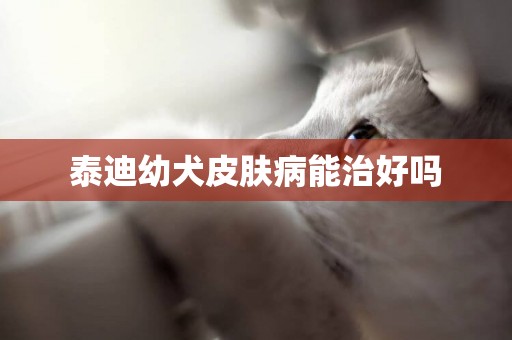 泰迪幼犬皮膚病能治好嗎