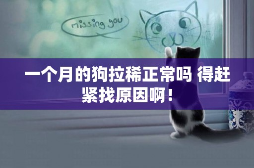 一個月的狗拉稀正常嗎 得趕緊找原因啊！