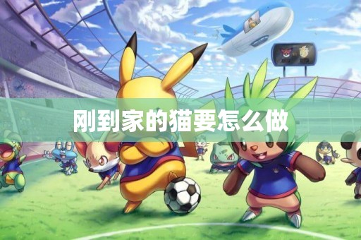 剛到家的貓要怎么做