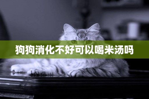 狗狗消化不好可以喝米湯嗎