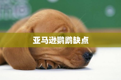 亞馬遜鸚鵡缺點
