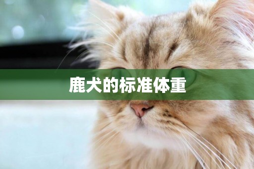 鹿犬的標準體重