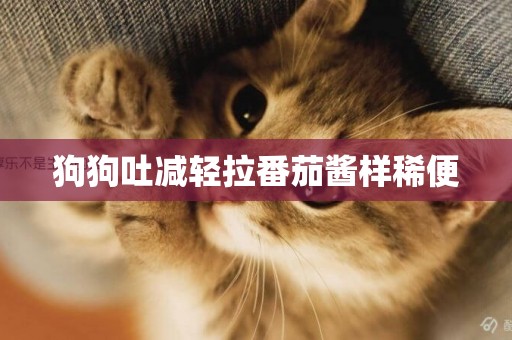 狗狗吐減輕拉番茄醬樣稀便